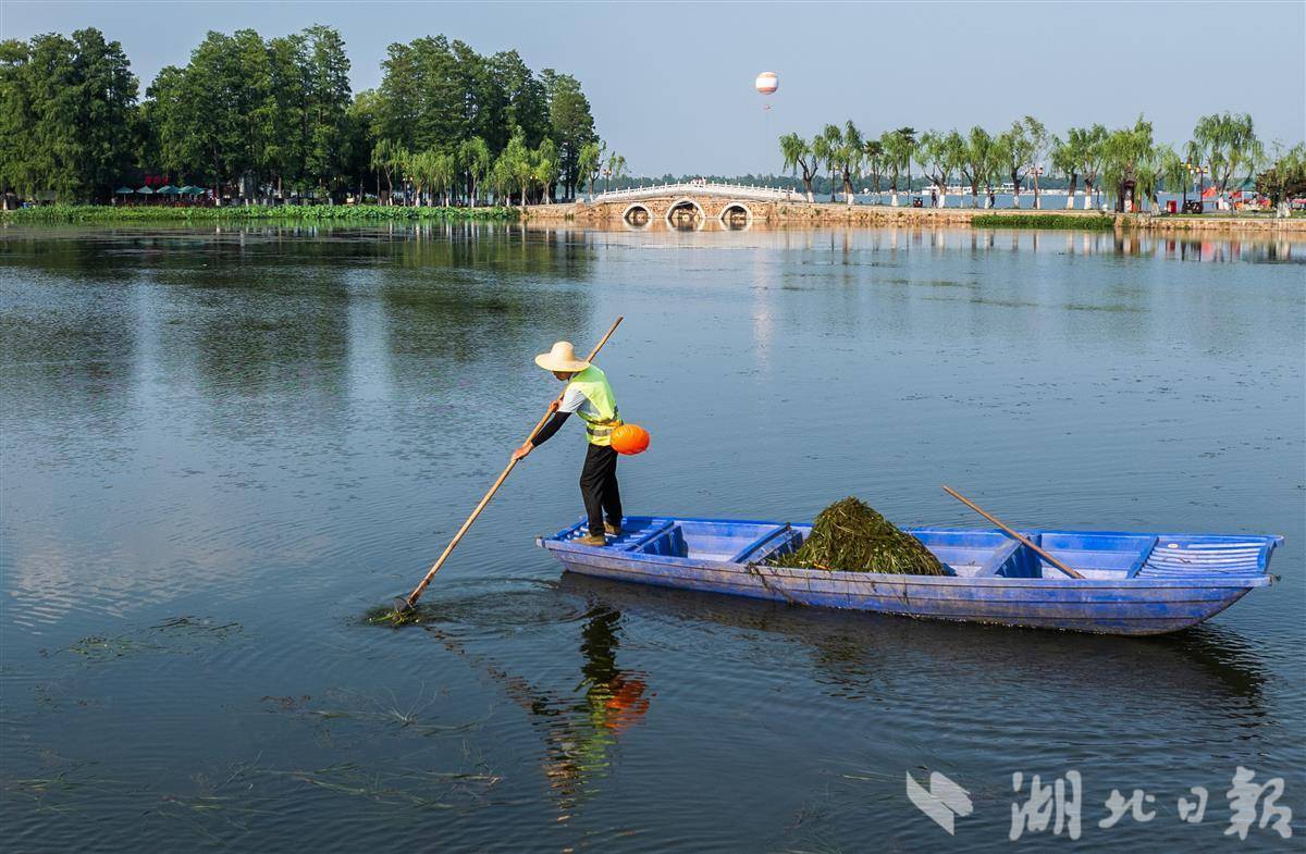 国际环境日，东湖“美容师”看护一湖碧水