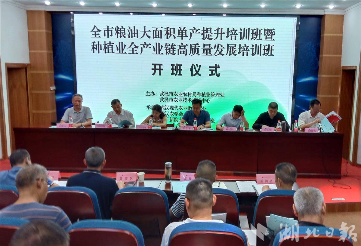 推进稳产增产 专家为粮油作物单产提升支招(图1)