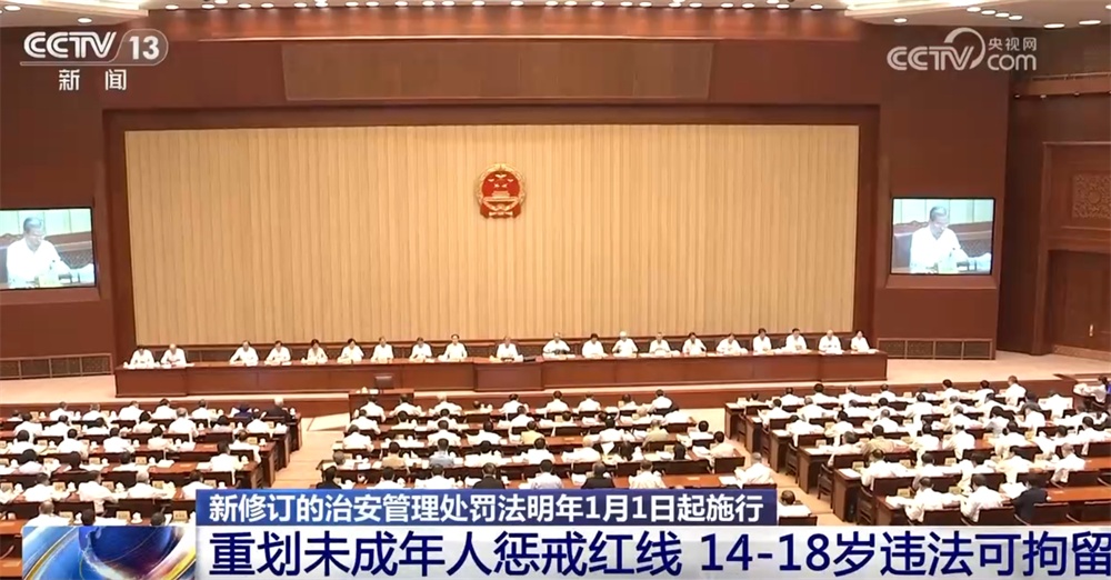 新修订的治安管理处罚法哪些方面与你我日子场景“深度绑定”？216秒快速了解！
