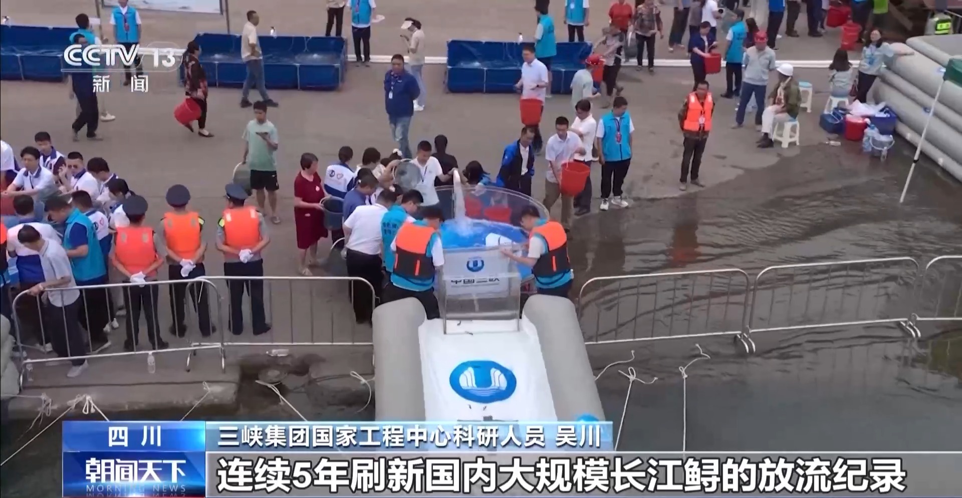 世界环境日“鱼”与您有关！超过600万只鱼“返