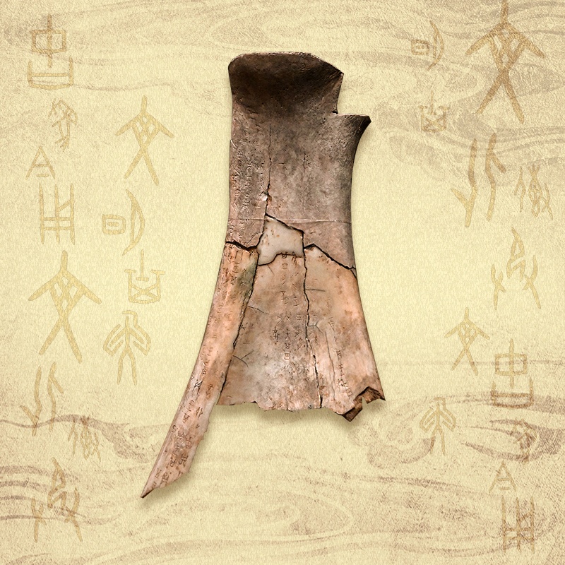 研究新语言·中国文明｜中国基因之间