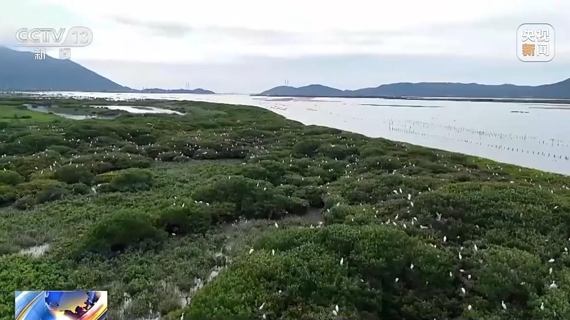 我国海洋能开发利用技术已迈入世界第一方阵(图2)