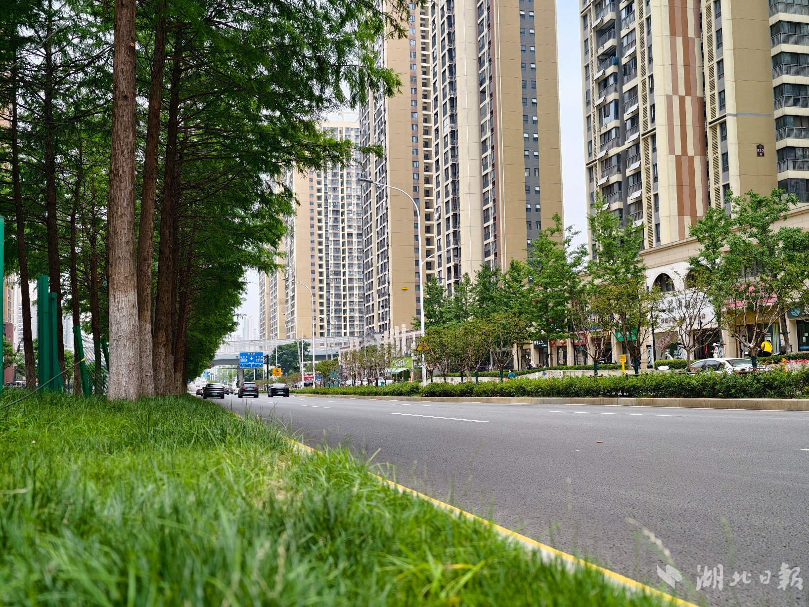 再见“马路拉链”琴台大道26公里架空管线入廊(图3)