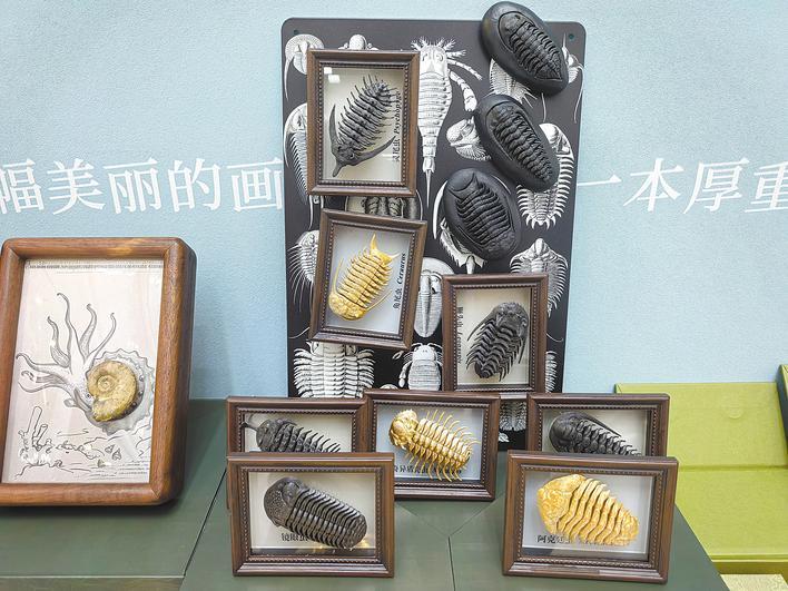 Lichuan Tiankeng GroupTrilobiteʯInternetSunrise Check