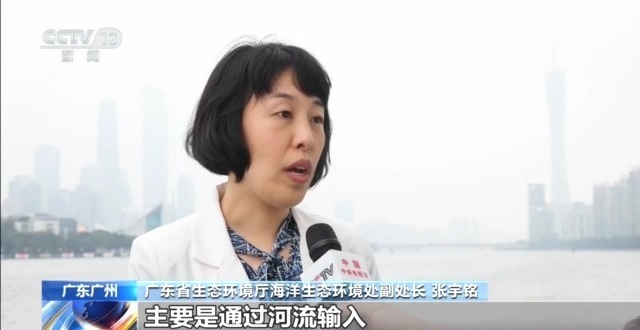 守护蔚蓝 “陆海联动”的系统治理如何让海湾重获新生？(图12)