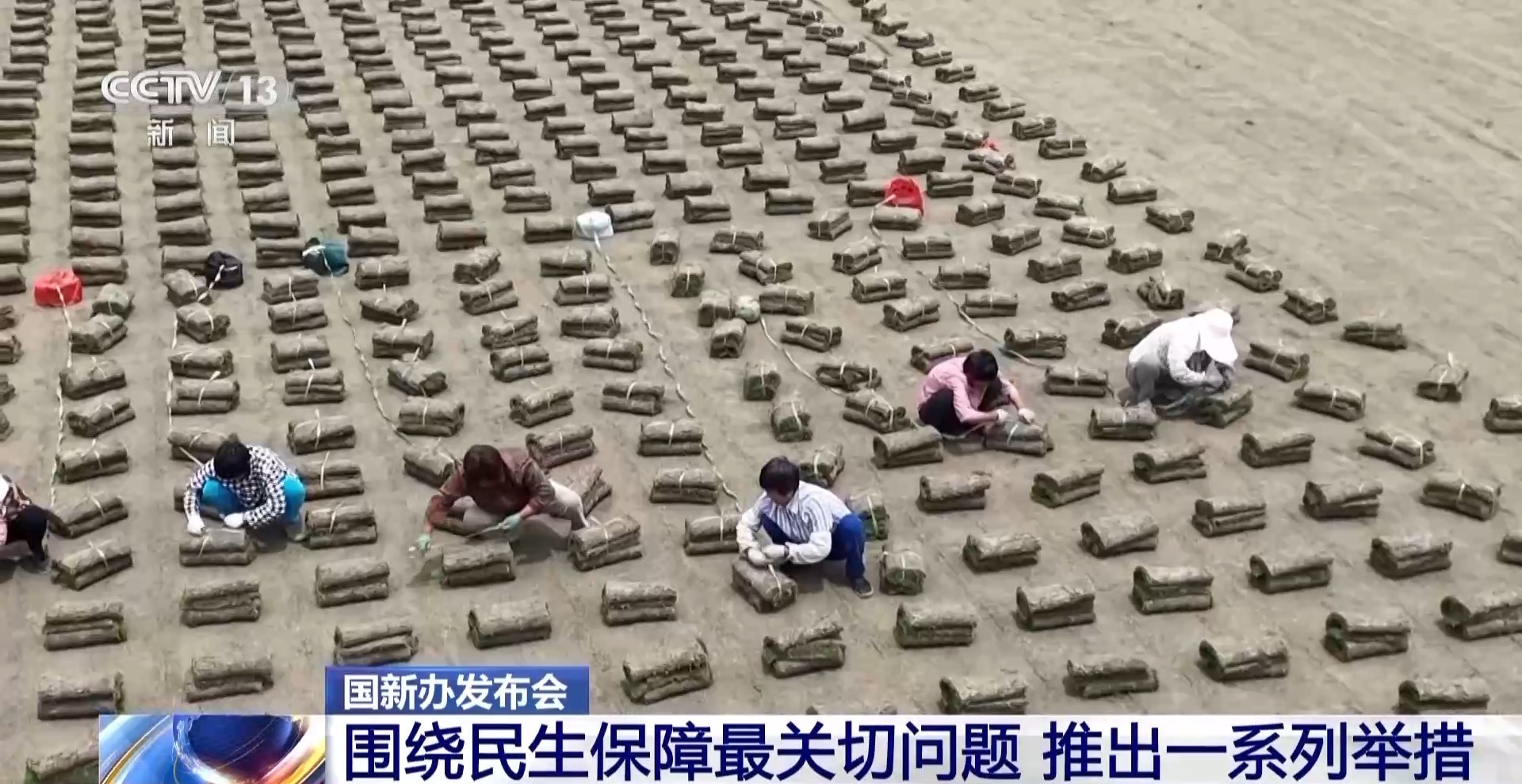 专注于工作和教育等人们经济安全的最关键问题