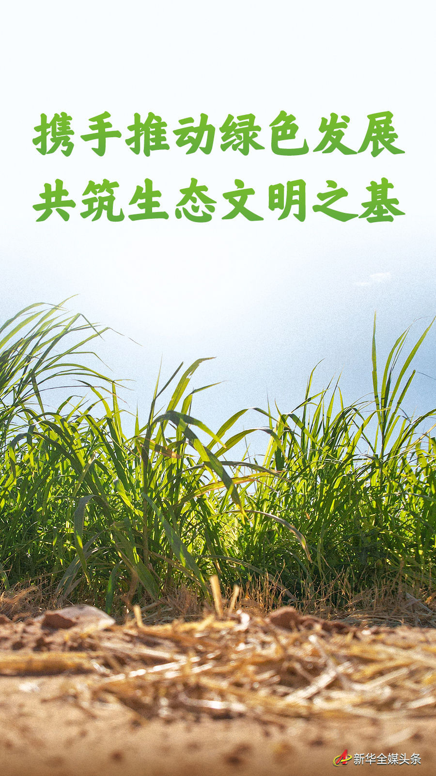 共同努力促进绿色发展