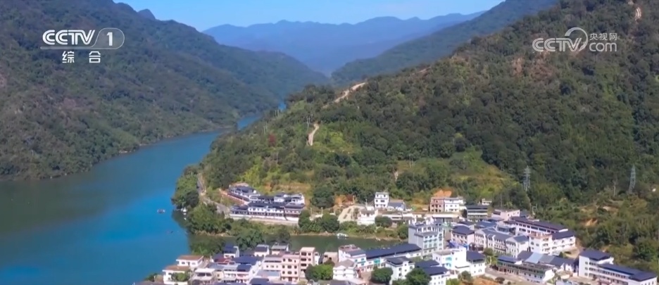 寻味“舌尖上的端午” 各地季节美食成为中华民俗文化的鲜活注脚