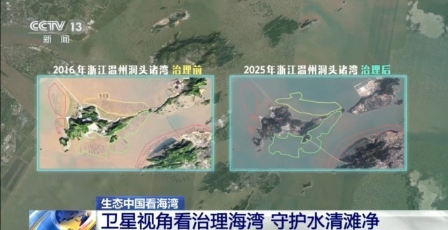 守护蔚蓝 “陆海联动”的系统治理如何让海湾重获新生？(图3)