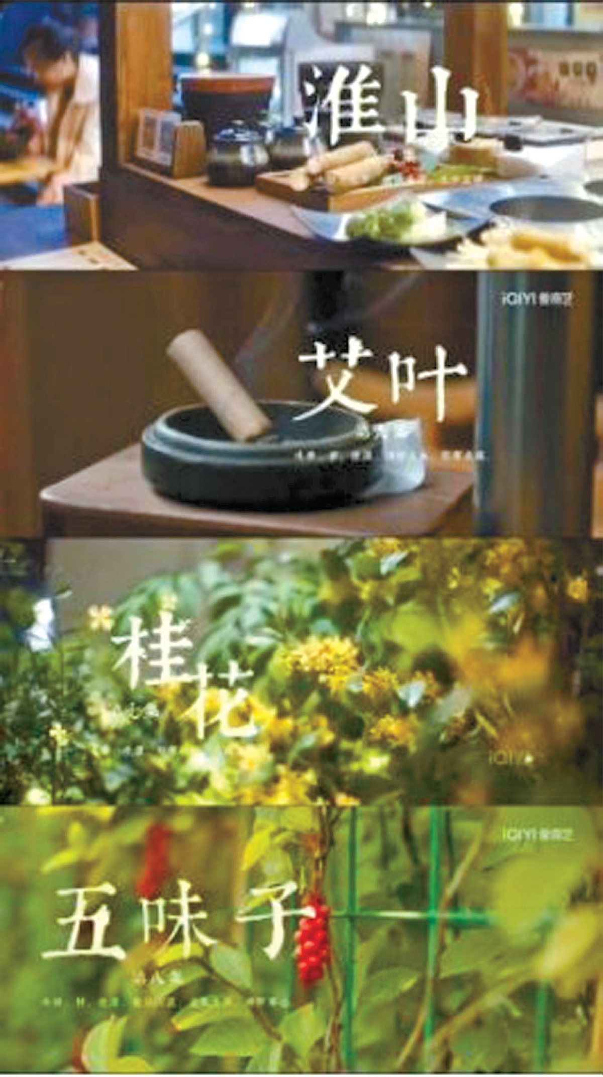 “中医+爱情”设定 养生元素融入剧情 中医剧缘何让年轻人上头