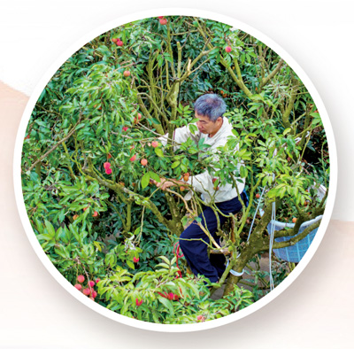 从选择到交货仅33小时，分布超过4,000公里。 Li