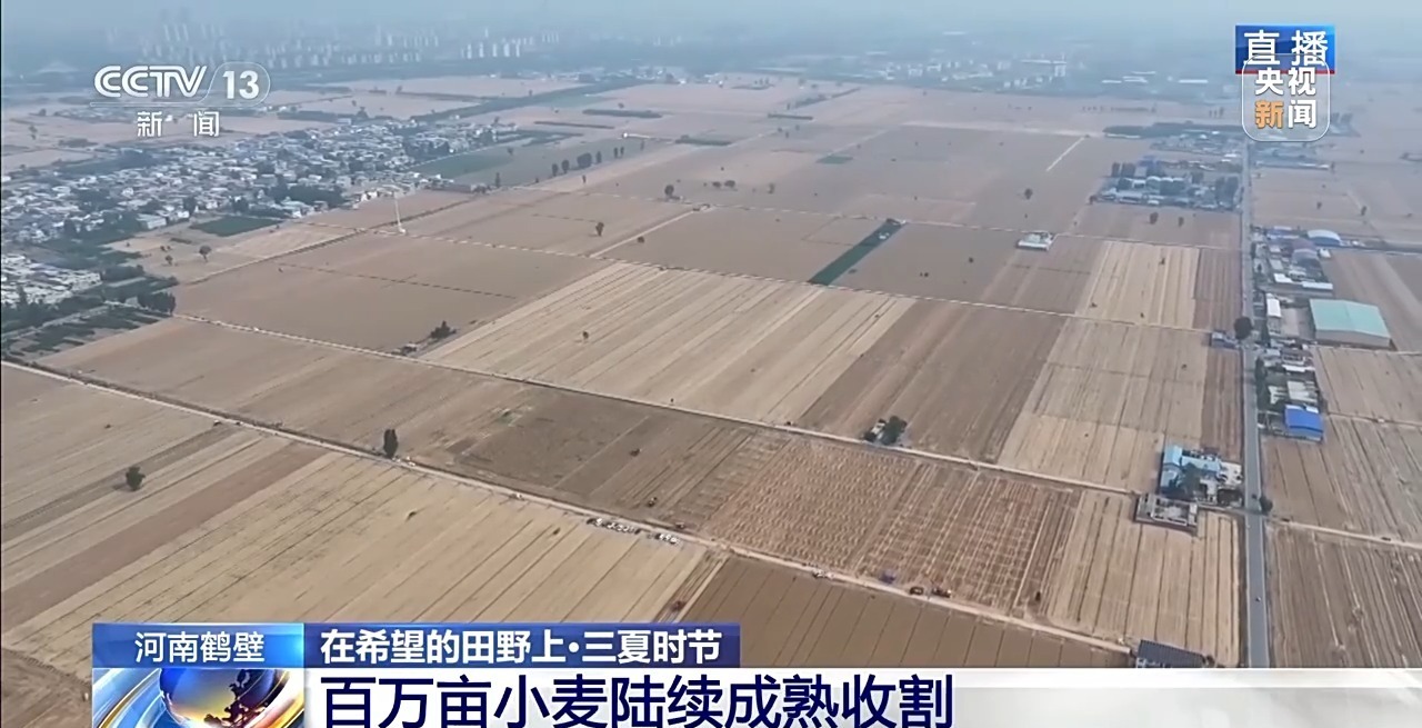 高科技农业生产明智的田地,在希比人的hebi中数