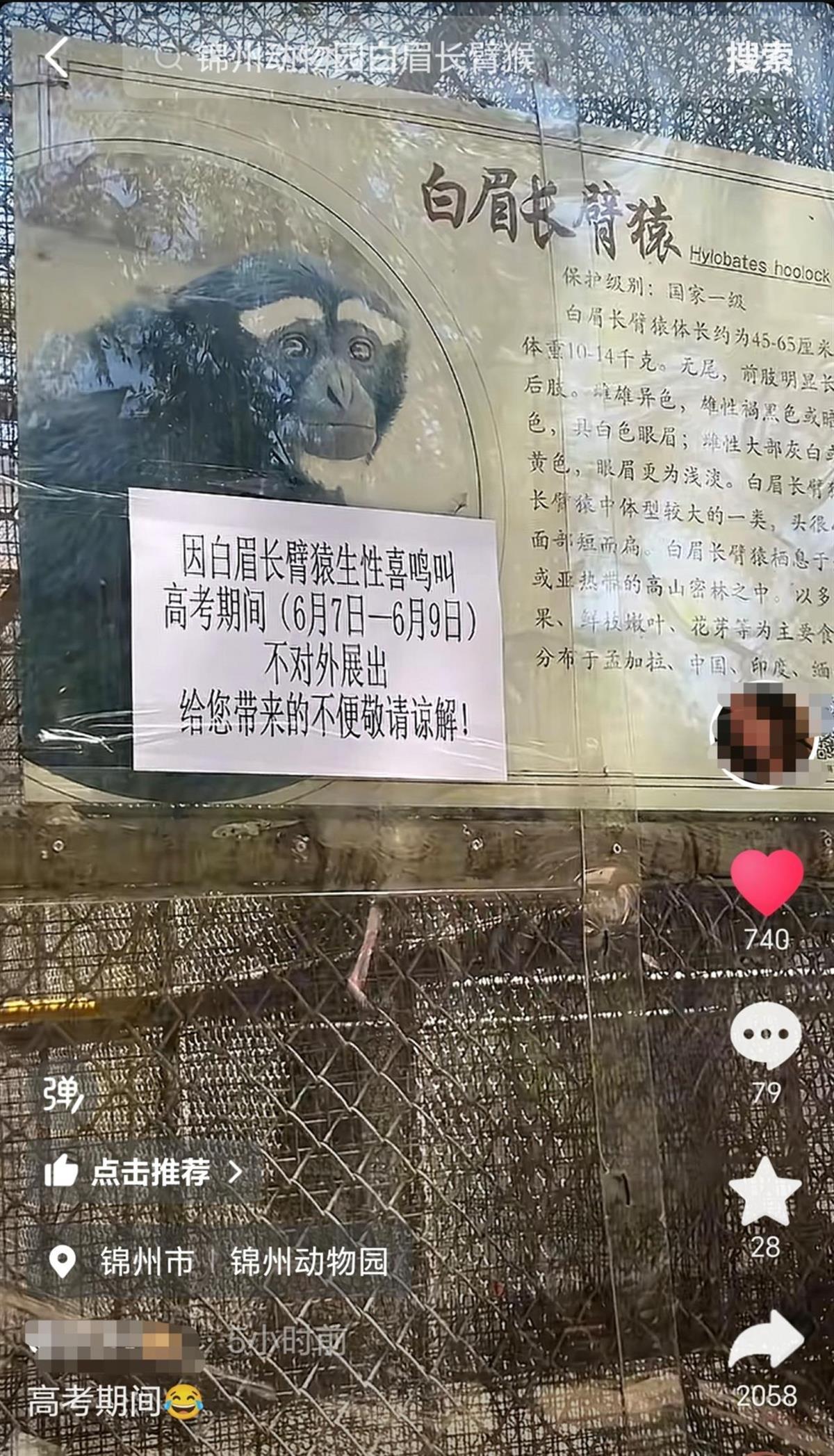 在大学入学评论期间，未