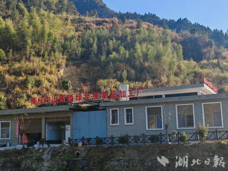 何故高枧：一块豆腐、一座青山、一条古街的村庄复兴暗码