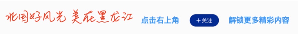 可以做笔记吗？查看Harbin理工学院的“最佳笔记