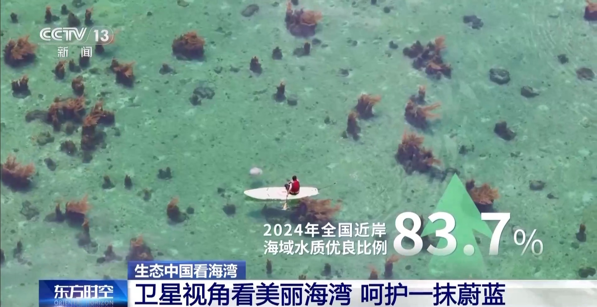 海湾“变美”要害在哪？看我国计划呵护一抹湛蓝