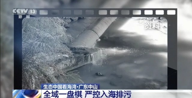 守护蔚蓝 “陆海联动”的系统治理如何让海湾重获新生？(图21)