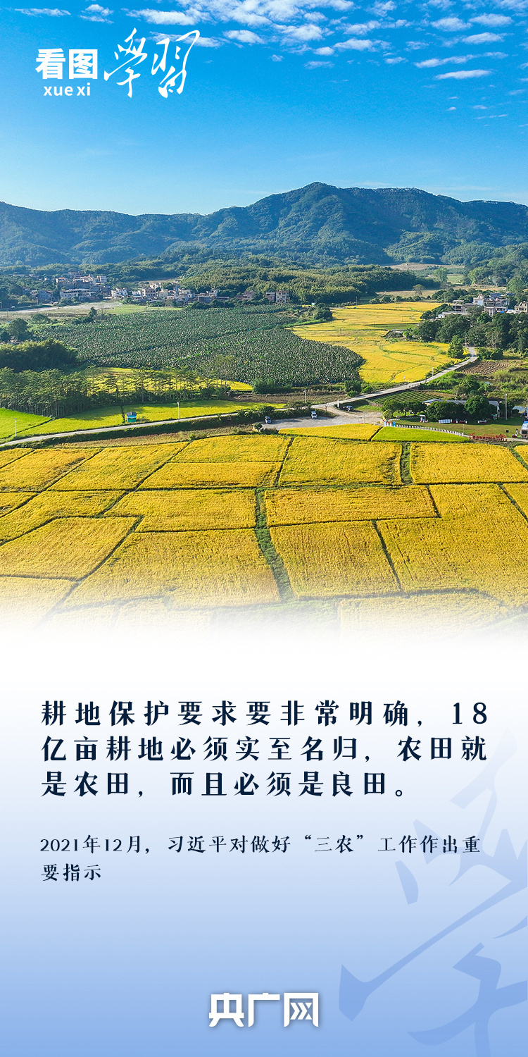 从图片中学习|秘书长担心保护土地的“保