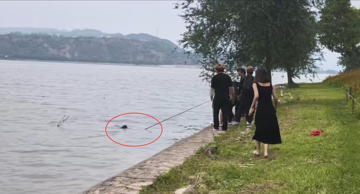三门峡黄河岸边一对母子不小心落水，危殆时间垂钓男人伸出鱼竿将其救起