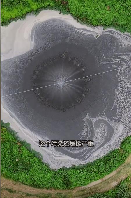 广西宾客一山中水塘呈酱油色有臭味？生态环境局回应