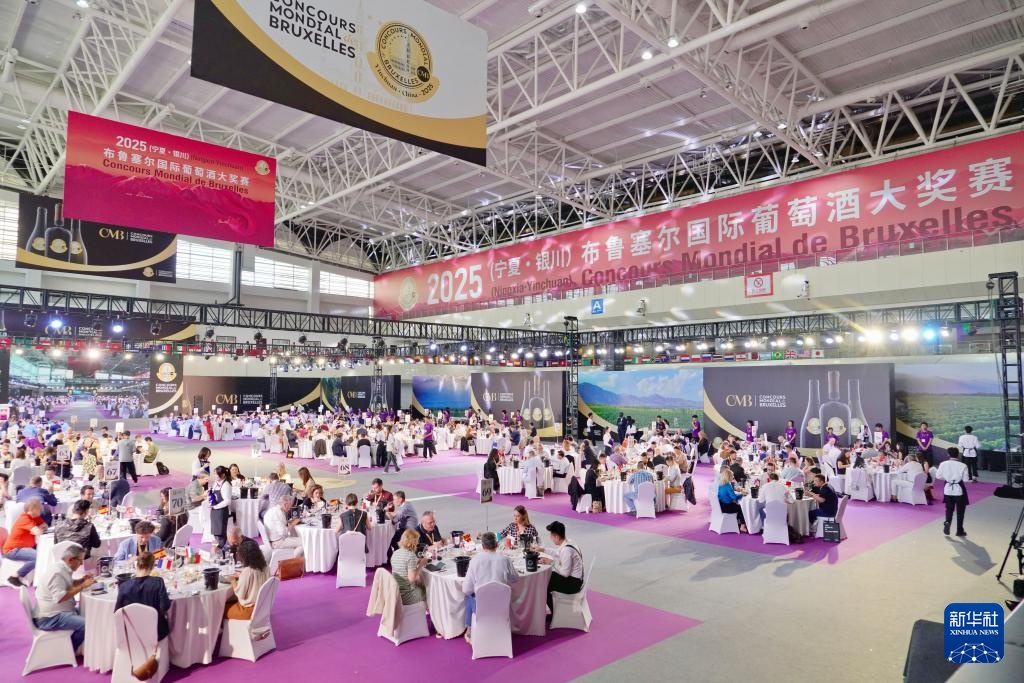 镜头连中外丨请查收！来自宁夏的“紫色名片”(图6)