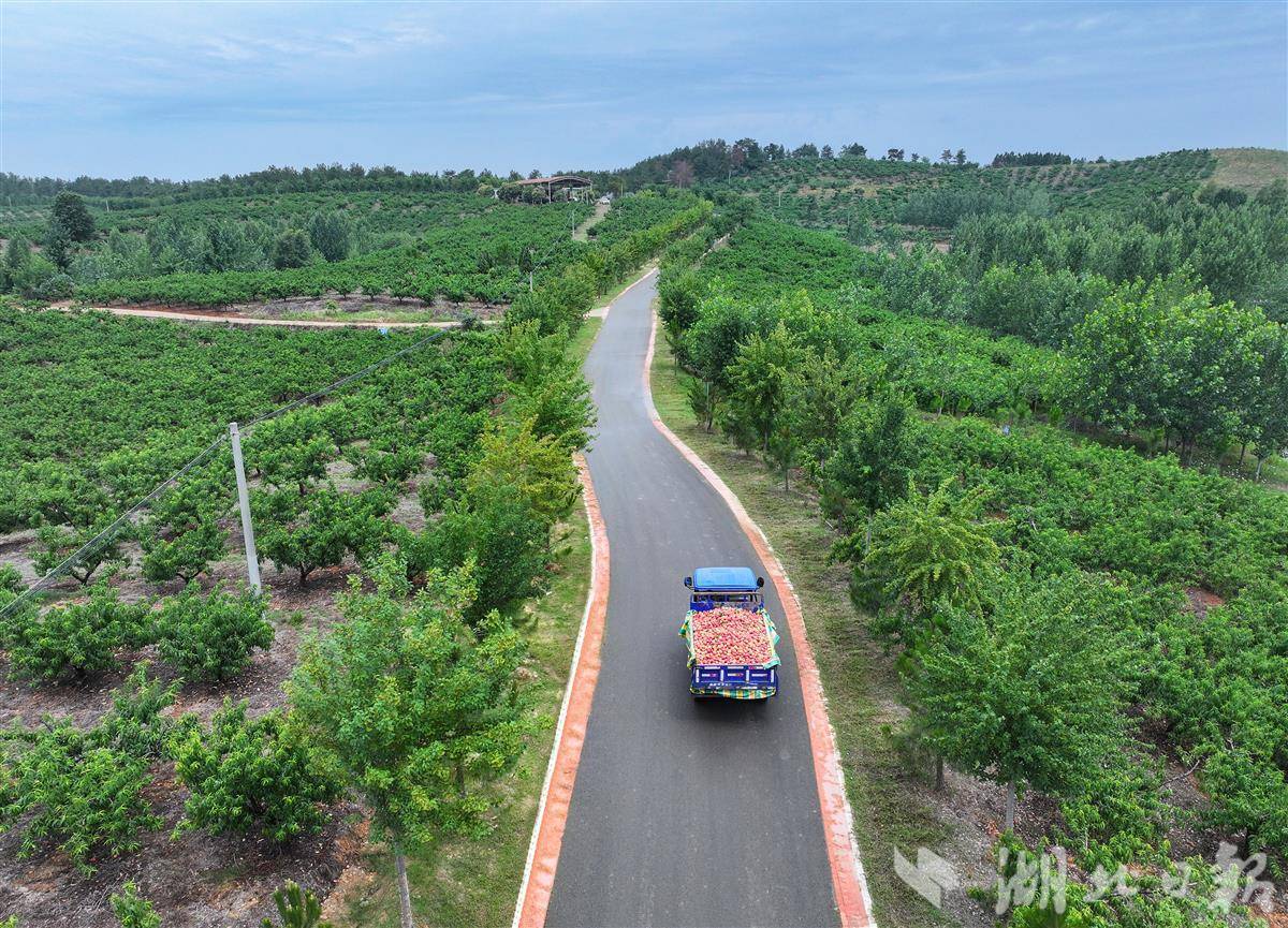 Zaoyang Road Changhang Manfei