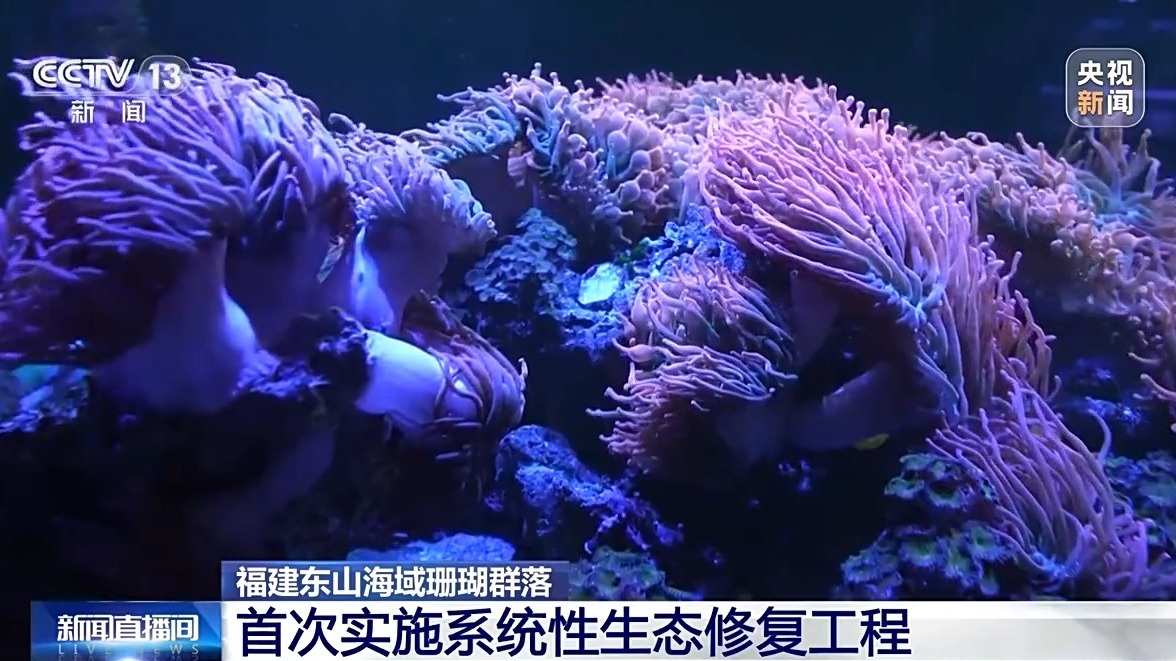 我国海洋能开发利用技术已迈入世界第一方阵(图3)