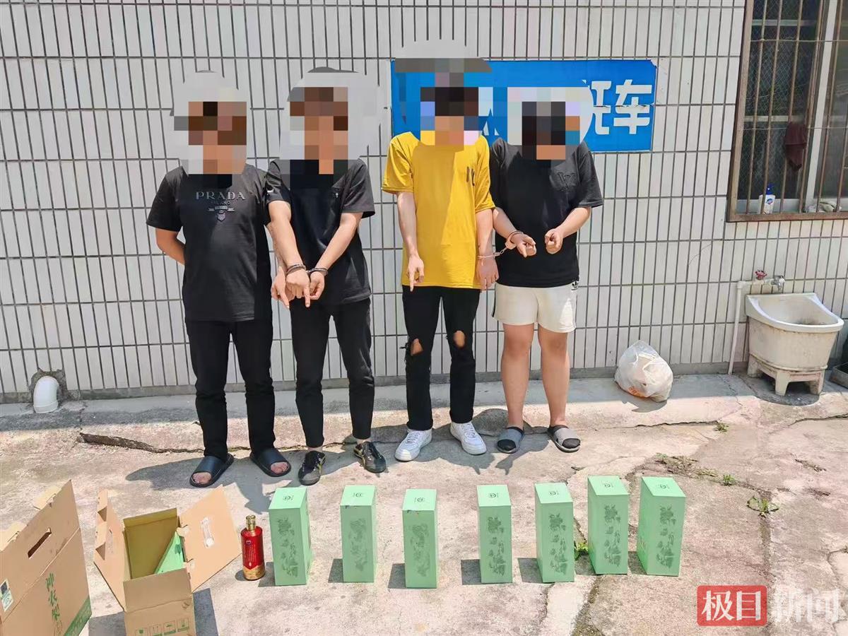 6名嫌疑人“拉车门”开盲盒式偷盗，湖北随州曾都公安雷霆反击将其悉数捕获