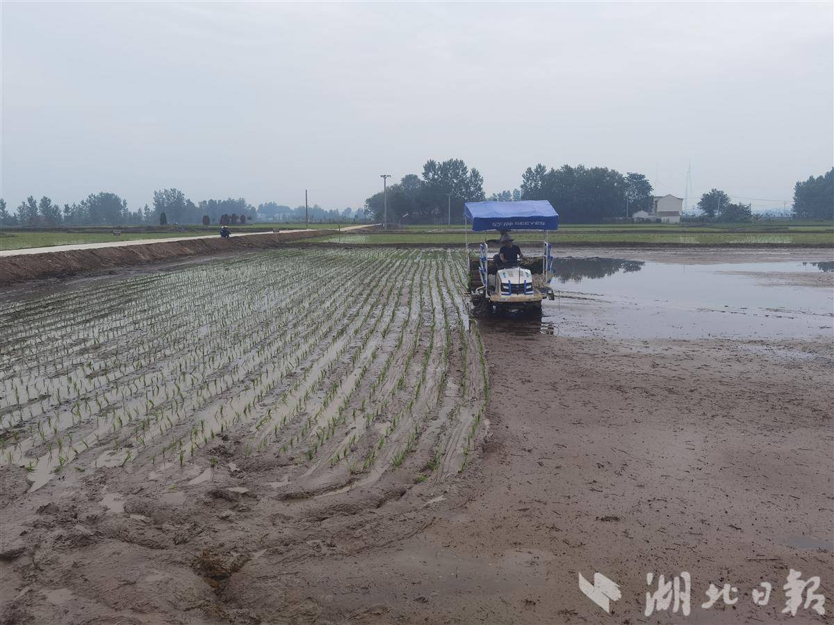 技术如何支持Jingchu Granary？在耶昌村聆听自我报