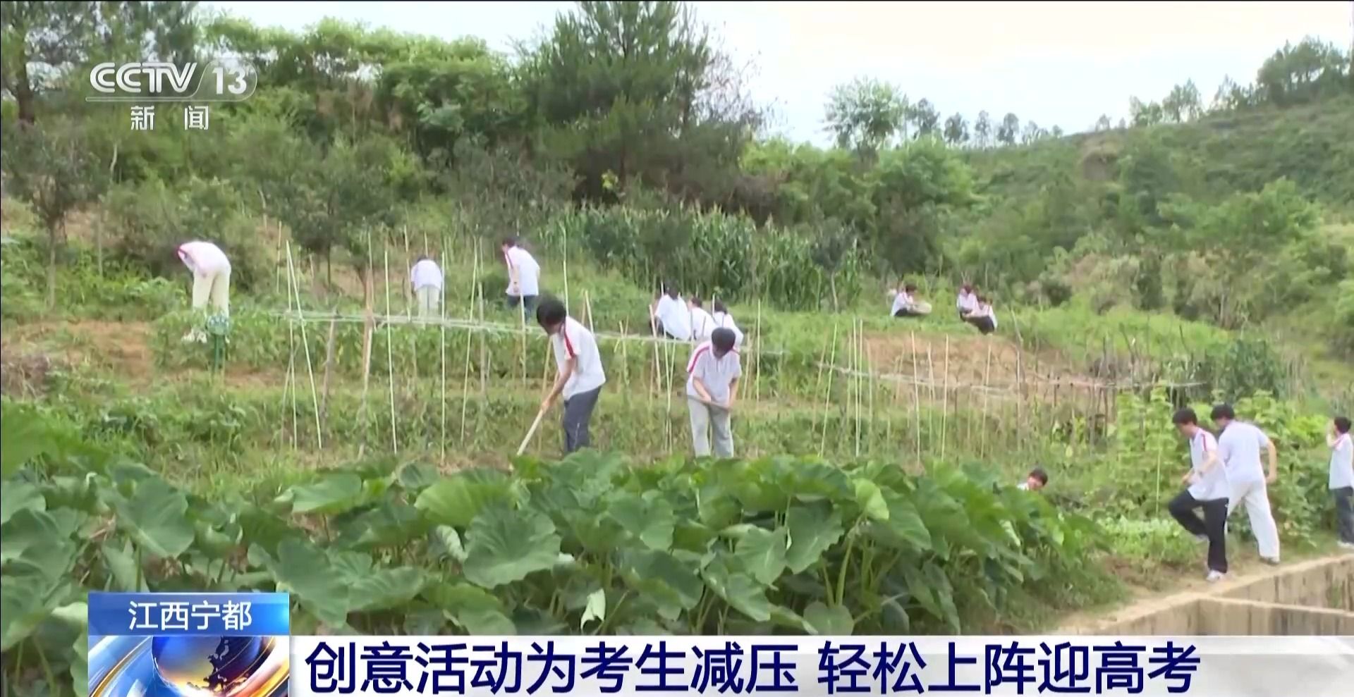 兴趣运动会、解忧杂货铺 各地构思活动让考生轻松迎候高考