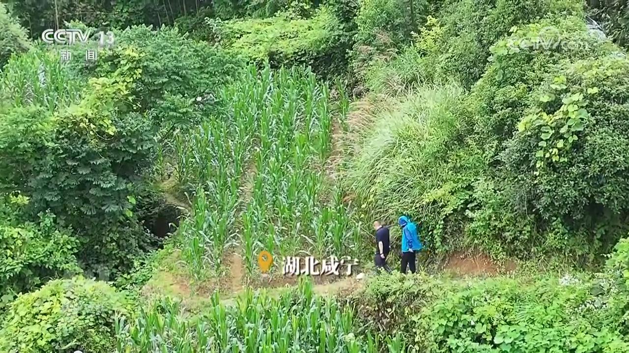 聚焦访谈｜紧紧遵循红线，布局可用！所有当地