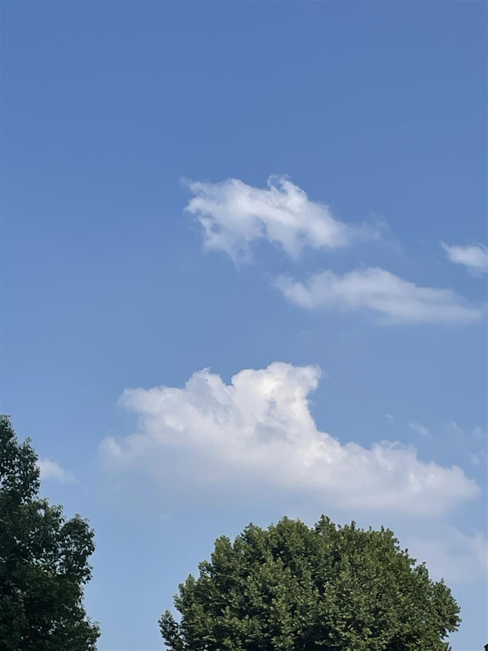 ǿҵıǿ籩ѧѧһ꼾ڣ밲