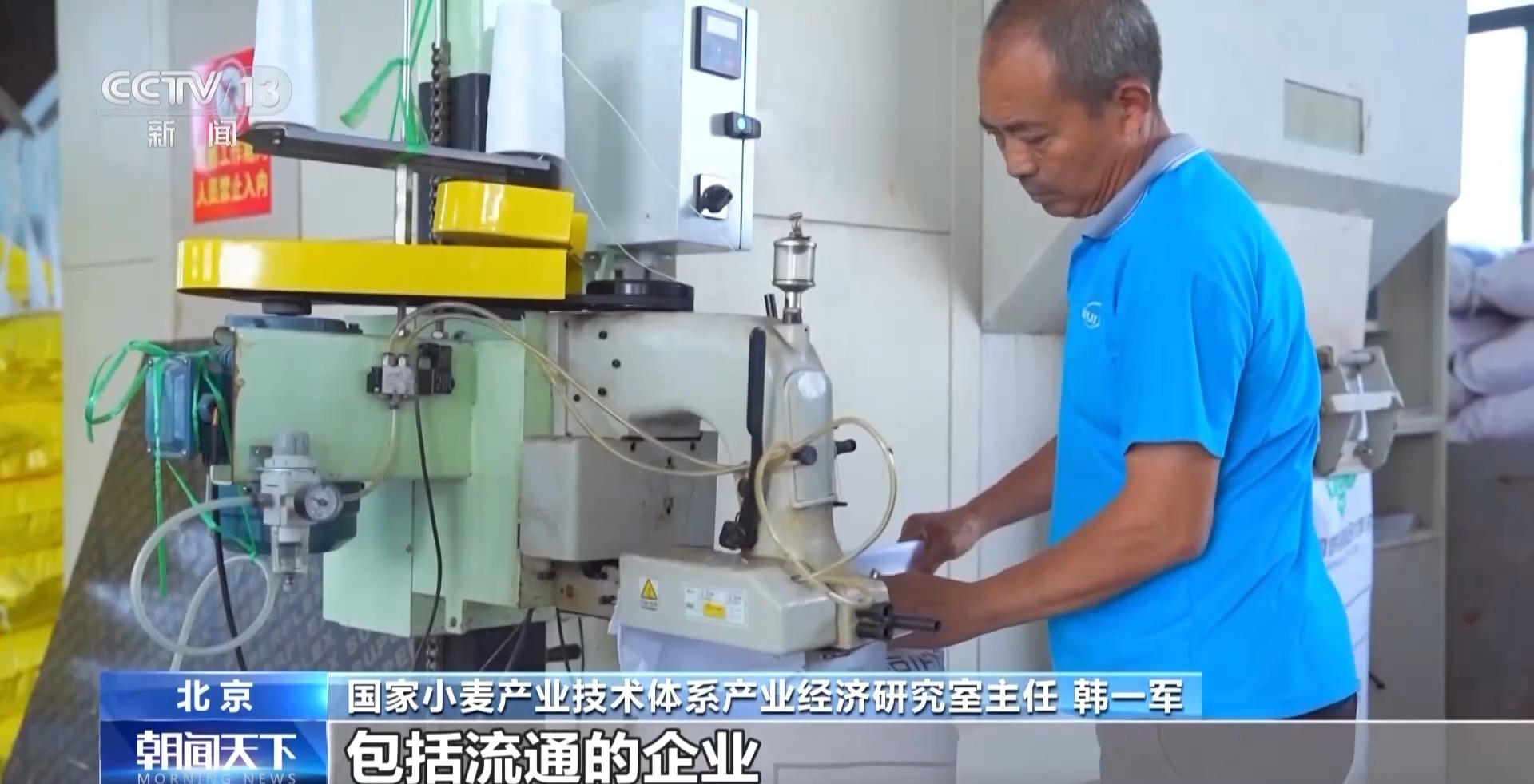 本年新麦有点香~ 质量上佳 价格稳中有升有保证