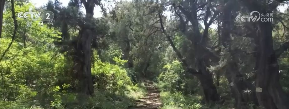 越过古老的舒路，只有雨水……更新和升级！