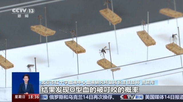 事实在这里丨蚊子更喜欢O型血液吗?咬壁虱并用