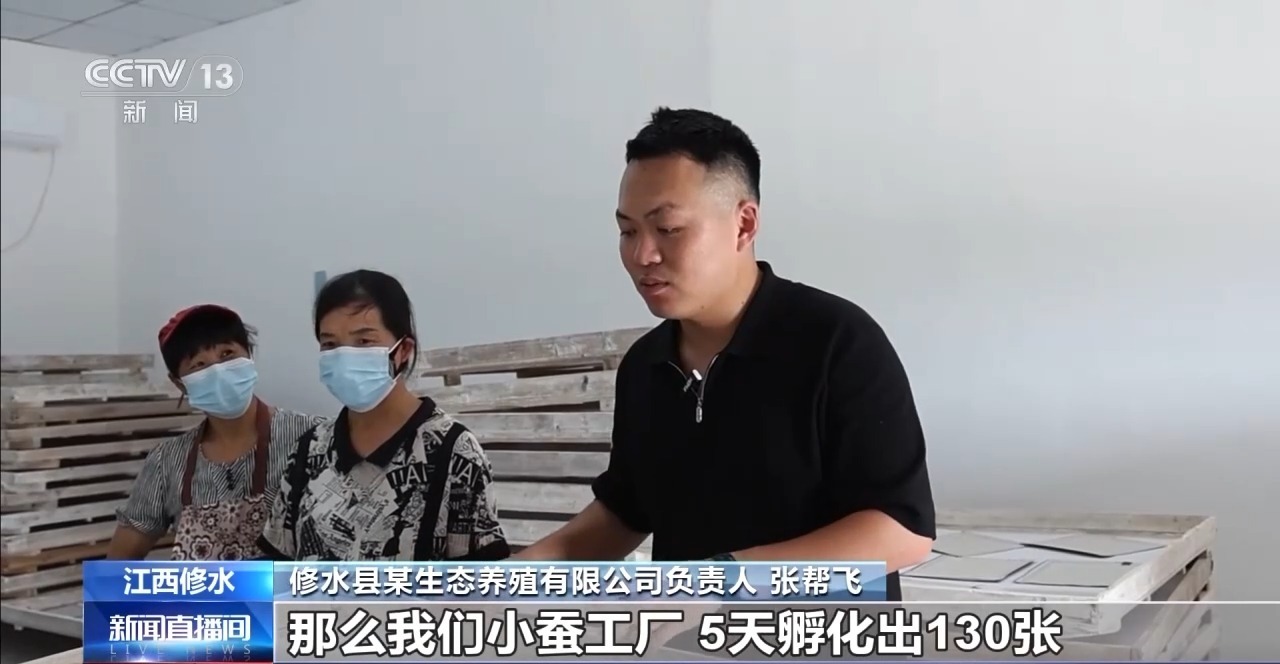 小麦田间“选秀”、蚕房变“流水线”……三夏收获正在进行(图12)