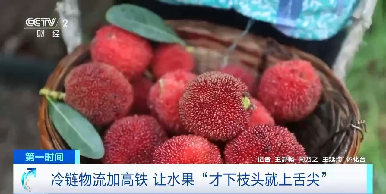 半响送达周边城市 “冷链物流+高铁”让生果“才下枝头就上舌尖”