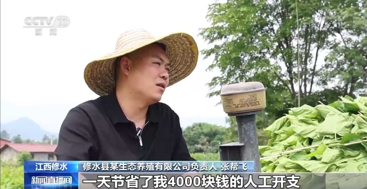 小麦田间“选秀”、蚕房变“流水线”……三夏收获正在进行(图10)