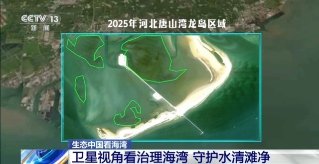 守护蔚蓝 “陆海联动”的系统治理如何让海湾重获新生？(图7)