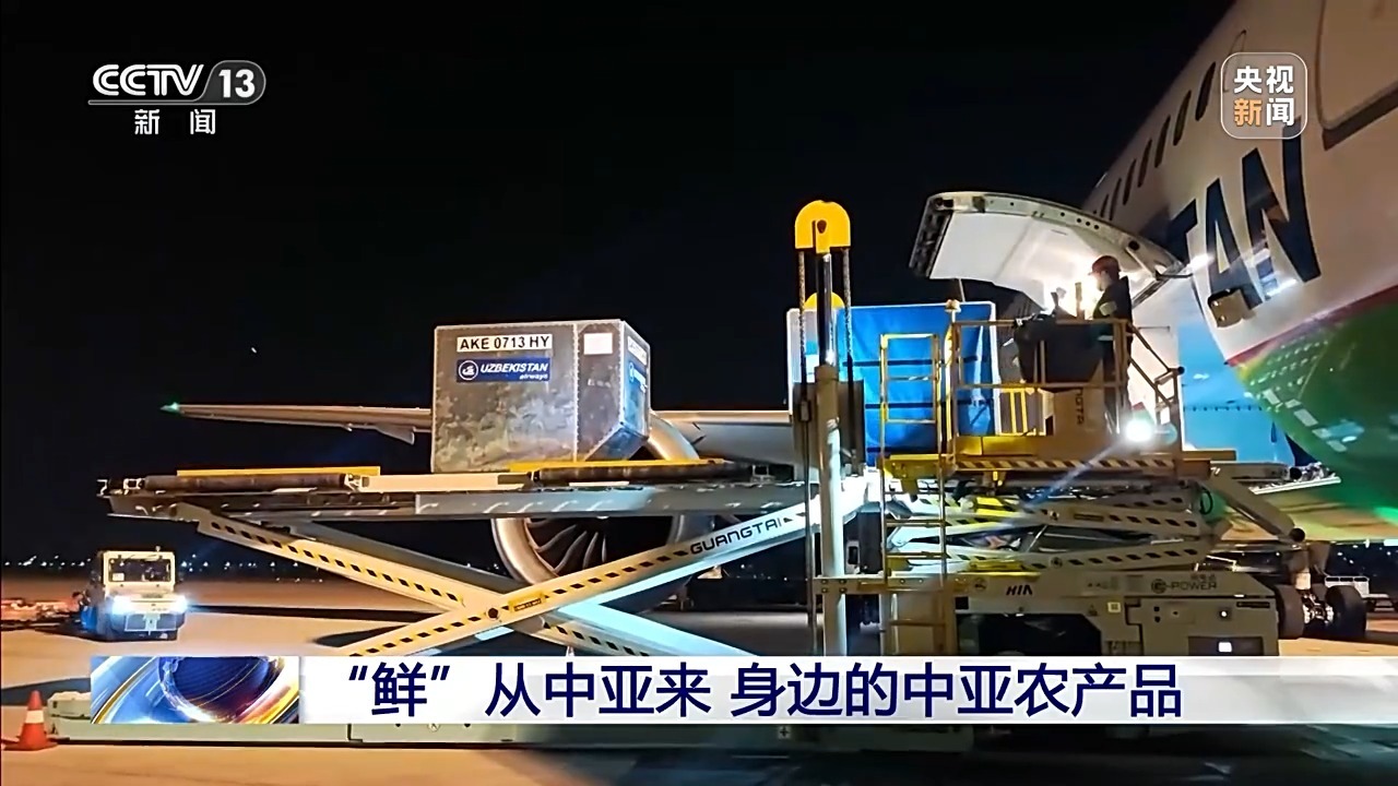 新鲜度拉满 中亚樱桃打“飞的”来啦~