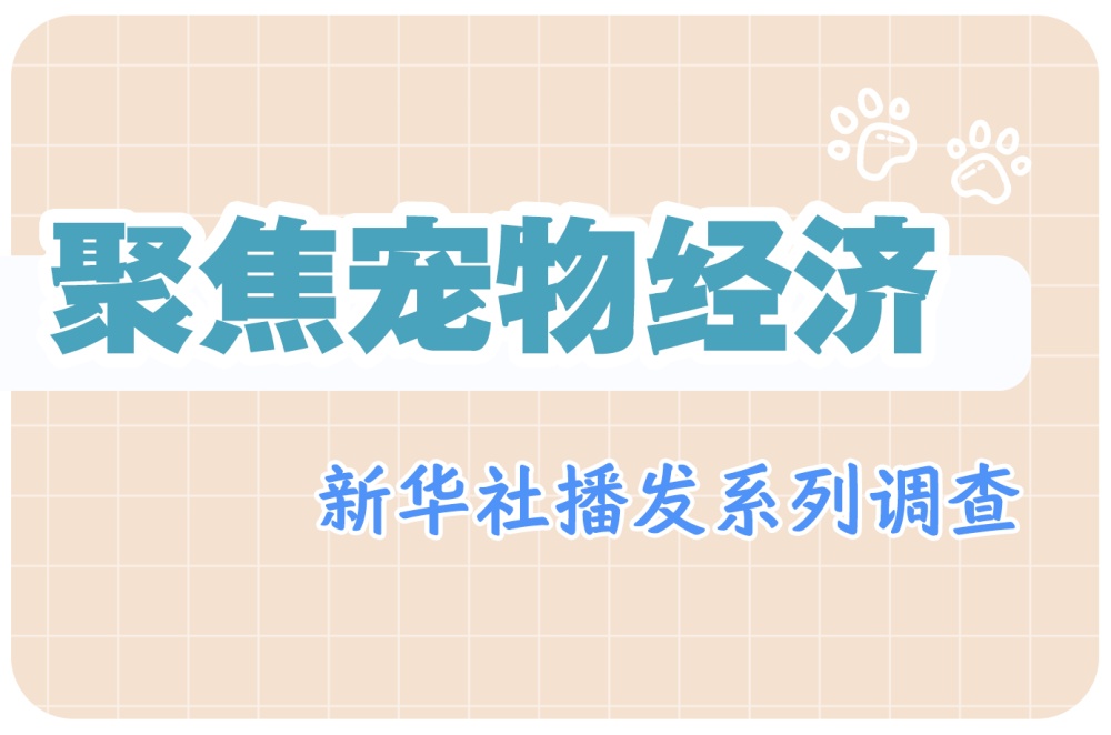 聚集宠物经济，新华社播发系列查询