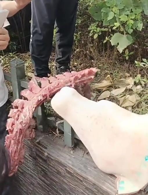 自贡富顺一小学食堂被告发运用残次肉，官方通报：原辅料已就地封存，正在查验检测