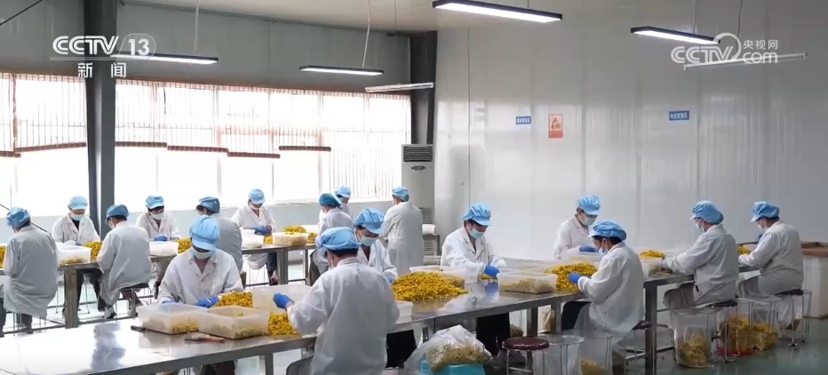 传统景区不断“破圈”“出圈”文旅+创新”激发经济澎湃活力(图8)