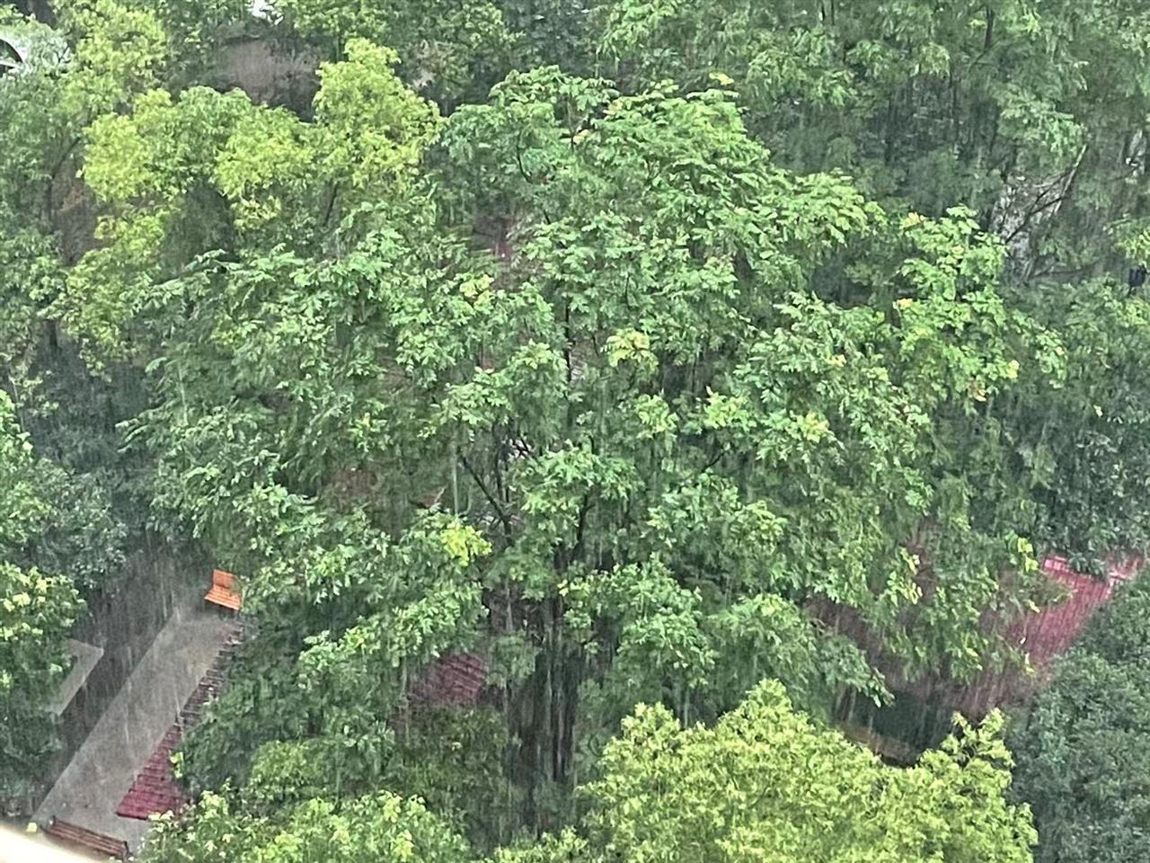 好消息！今天下午武汉雨势削弱，雷电根本按下静音键，打雷仅限局地