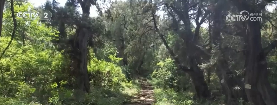 越过古老的舒路，只有雨水……更新和升级！
