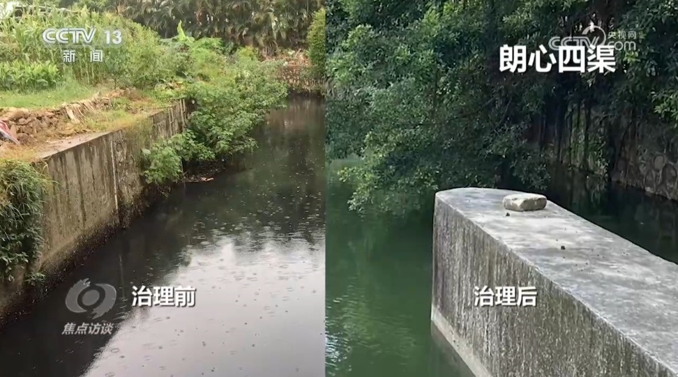 焦点访谈｜从“避之不及”到“亲水而居”这里交出生态治理亮眼成绩单(图1)