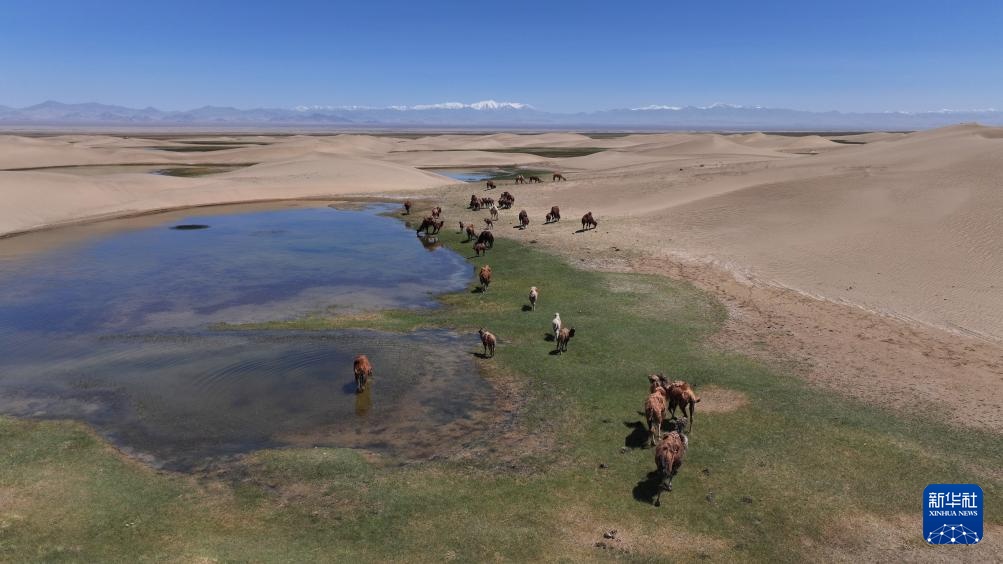 Aksai，Gansu：沙子和水歌