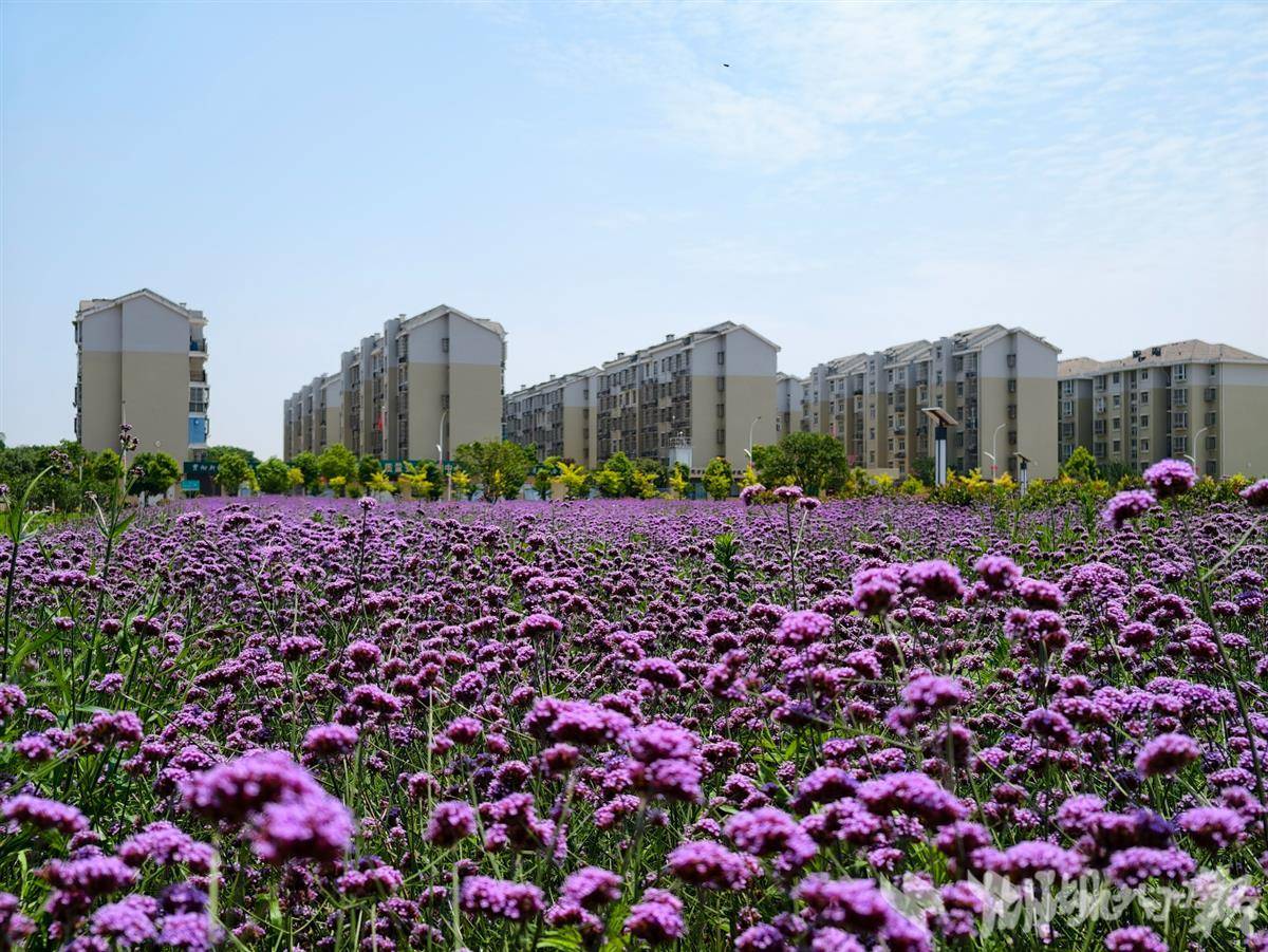 荒地变花园：推开窗，便是“爱”的形状