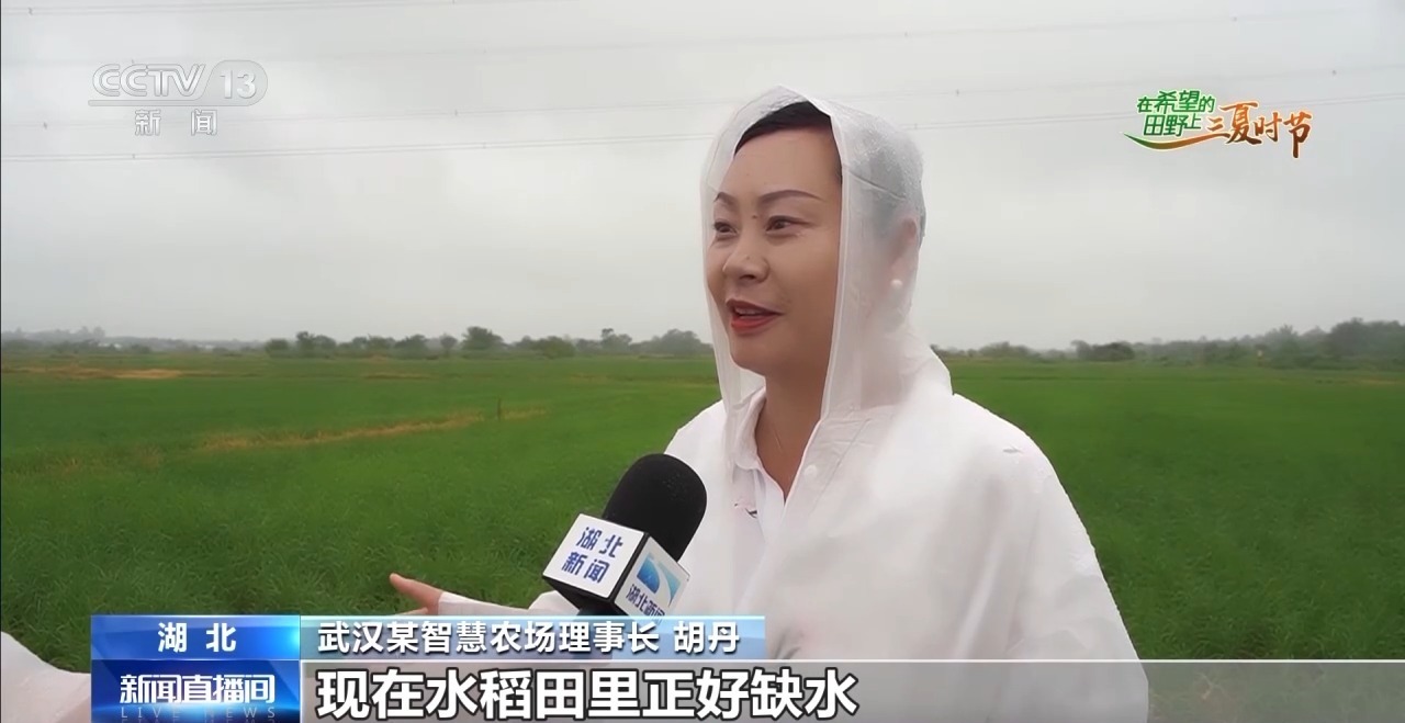 小麦田间“选秀”、蚕房变“流水线”……三夏收获正在进行(图8)