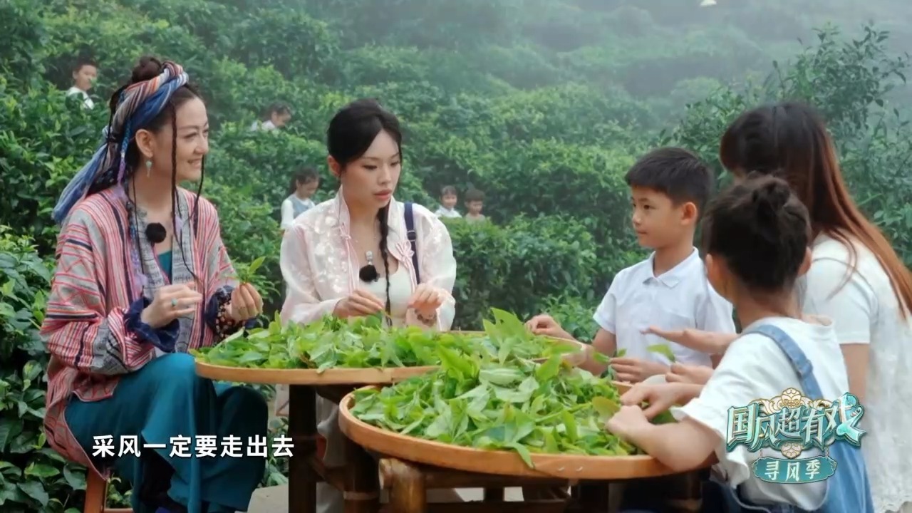 国风超有戏丨采风到底是在采什么？